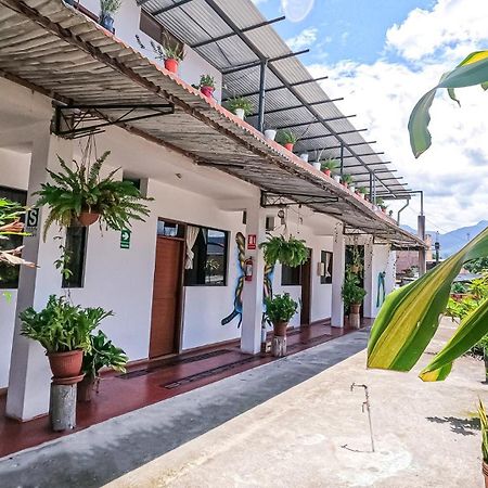 Shoffi'S House Backpackers Hotel Tarapoto Bagian luar foto