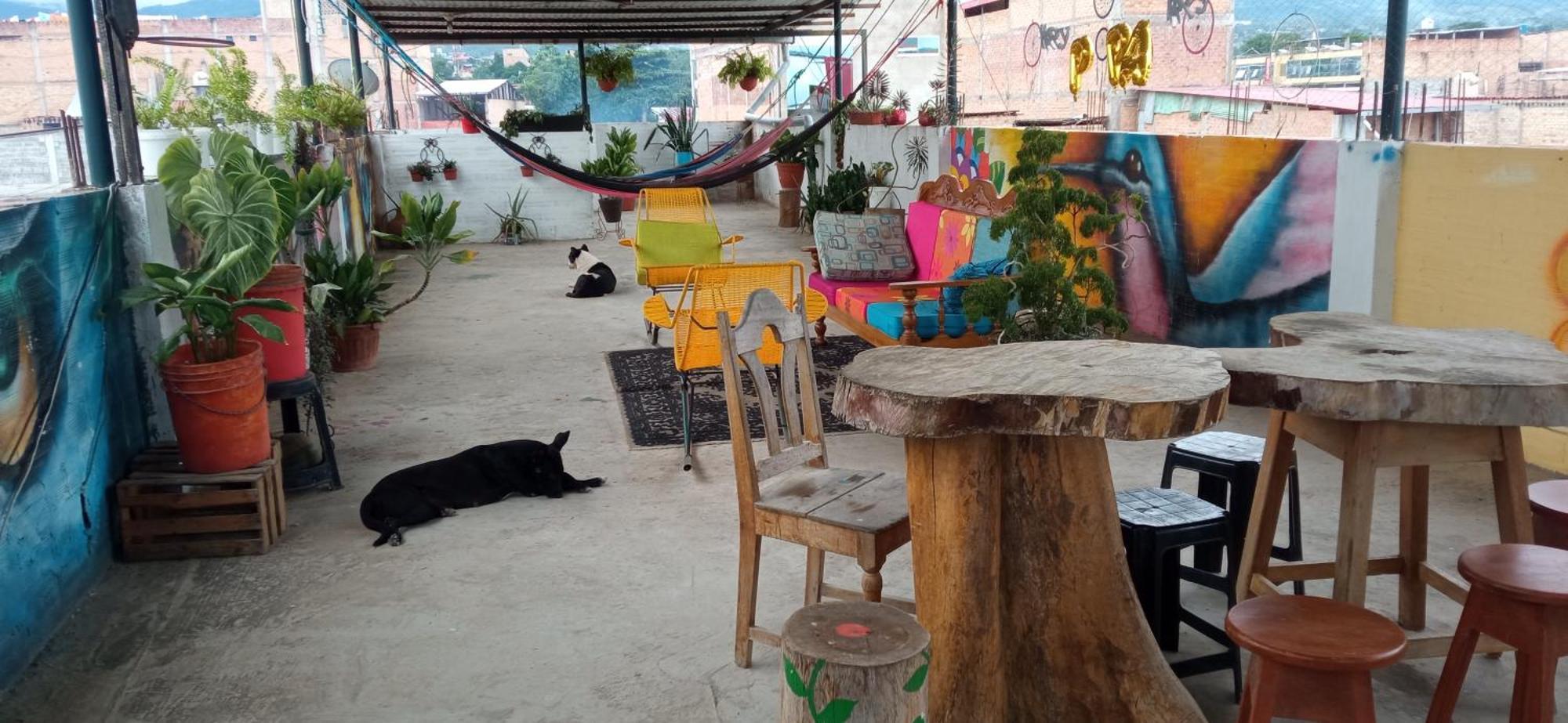 Shoffi'S House Backpackers Hotel Tarapoto Bagian luar foto